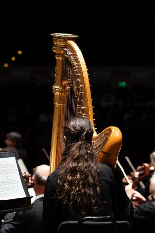 Mozart and Dvořák — Rotterdam Philharmonic Orchestra