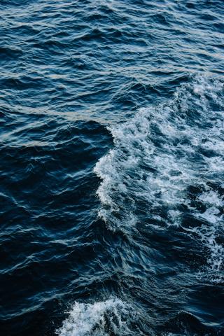 Grieg, Debussy and Ravel — Rotterdam Philharmonic Orchestra